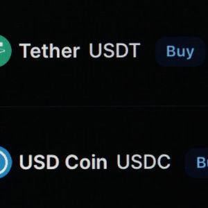 Stablecoin: Financial Inclusion Friend Or Foe