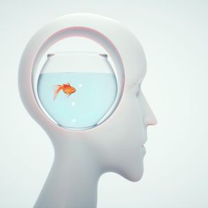 Why Crypto Needs Portable AI Memory