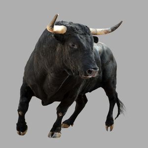 New Year, New Bitcoin Market Structure?