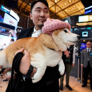 Toro Wants Every Memecoin To Launch With Real Assets Behind It