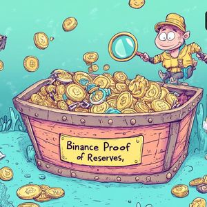Binance Proof of Reserves October 2024 Highlights Key Asset Changes