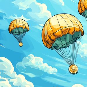 Sonic Shard Snapshot Scheduled on December 1 for Exclusive Airdrop