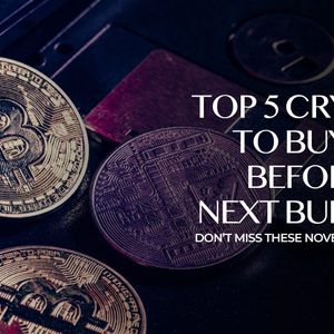 Top 5 Best Cryptos to Buy Before the Next Bull Run: Dont Miss These November 2024 Picks