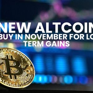 5 Best Cryptos to Invest in Right Now: November’s Top Performers