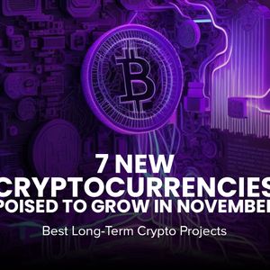 Next Crypto to Explode in 2025: Top 7 Picks You Should Invest in Now