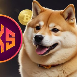 Dogecoin Investor Rakes in 166572% Profit After 10 Years, Trader Names 'Next DOGE' Token That Will Achieve Similar Gains, But By 2026