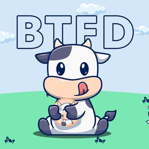 Lost Out on the Memecoin Frenzy? Don’t Lose Out on Big Gains With the BTFD Coin Presale